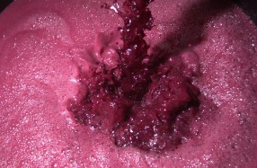Vino