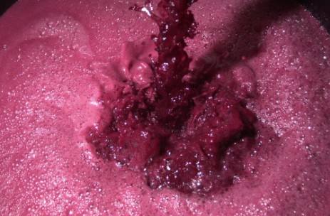 Vino Vino