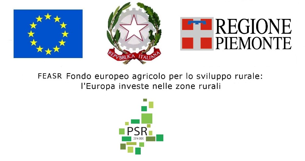 banner banner